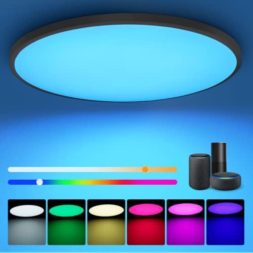 גופי תאורת תקרה RGBCW חכמים - תאורת מטבח דקה במיוחד עם צבע מעומק ＆ בהירות | אורות תקרה LED עגולים 13